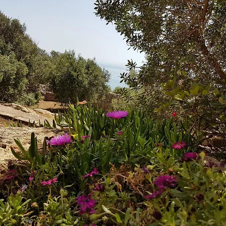 L'oialora Santa Maria di Leuca